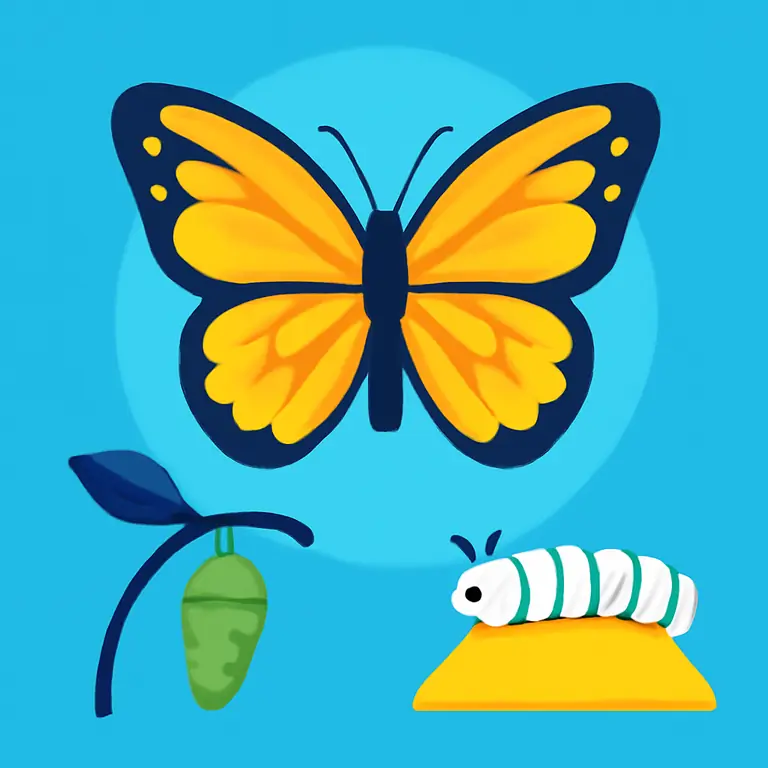 Insect Life Stages - puzzle cover