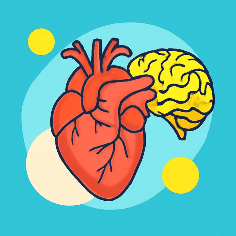 Anatomy and Functions - puzzle cover