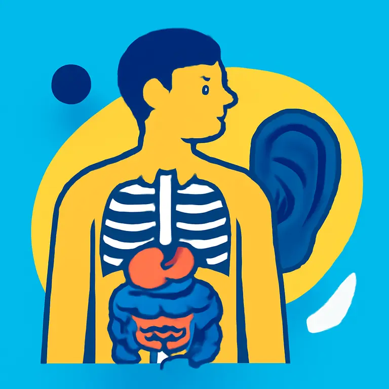 Anatomía y Partes Corporales - portada del puzzle