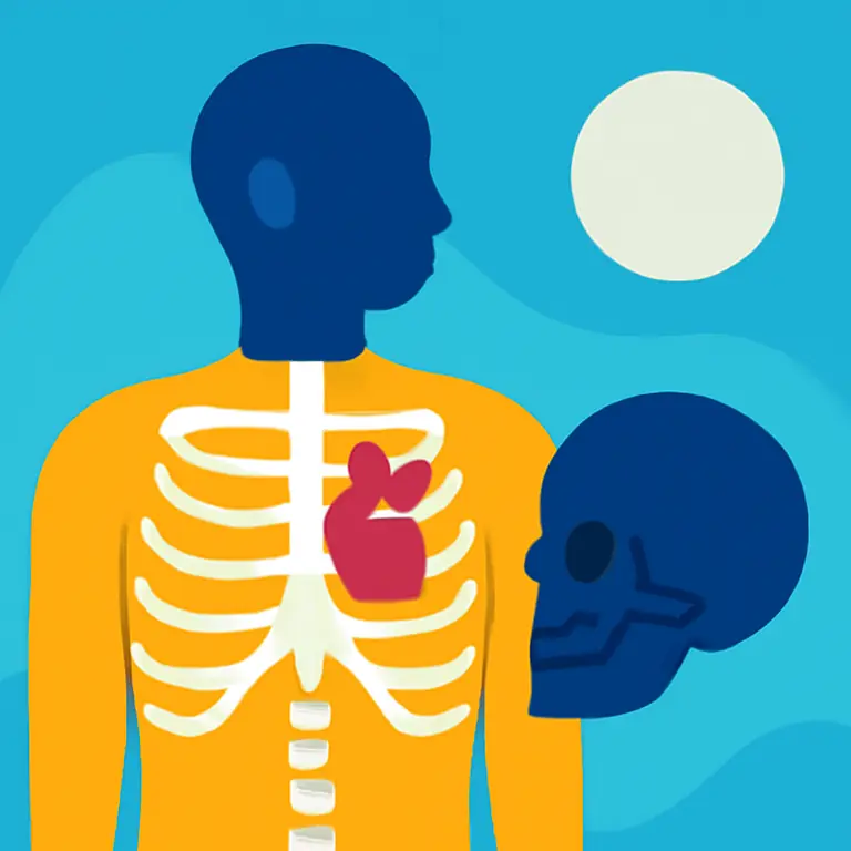 Anatomía y Cuerpo Humano - portada del puzzle