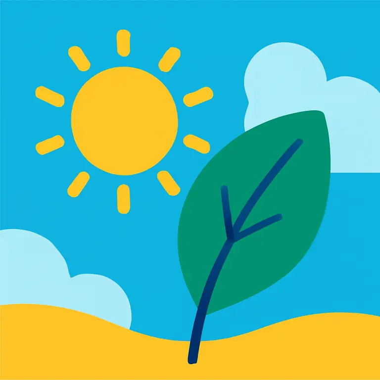 Elementos de la Naturaleza - portada del puzzle