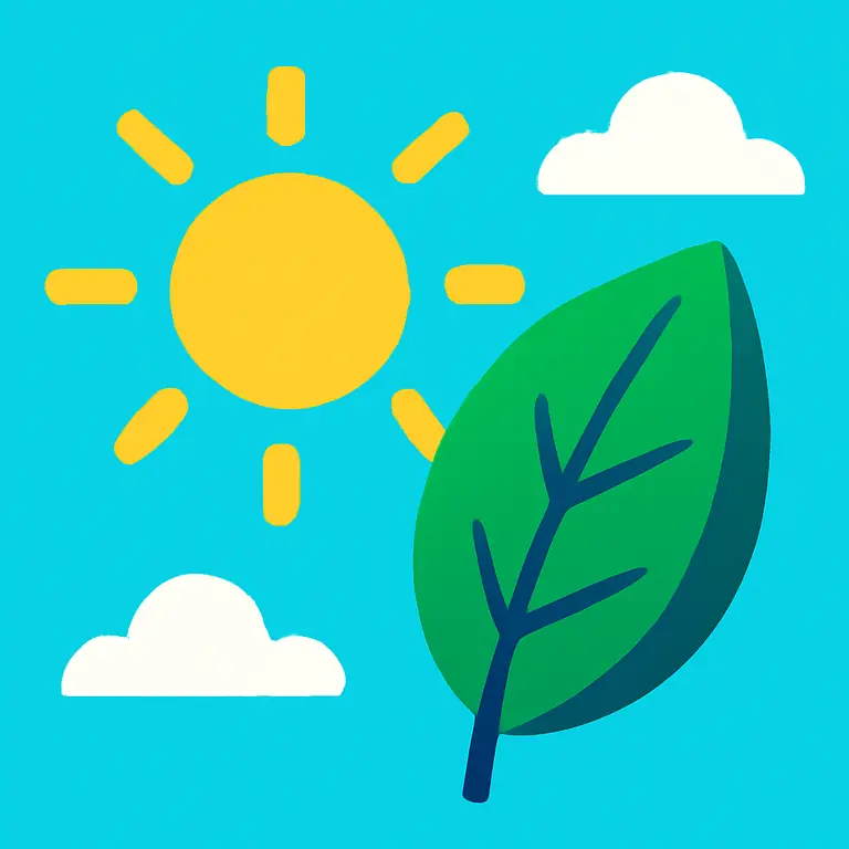 Tiempo y Naturaleza - portada del puzzle