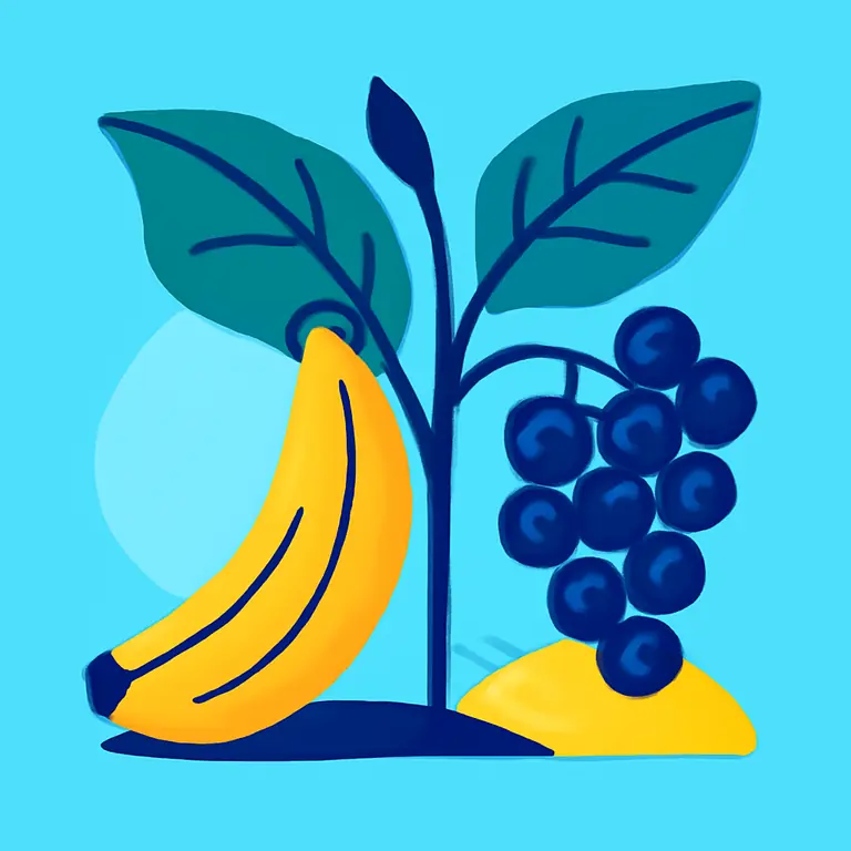 Frutos y plantas silvestres - portada del puzzle