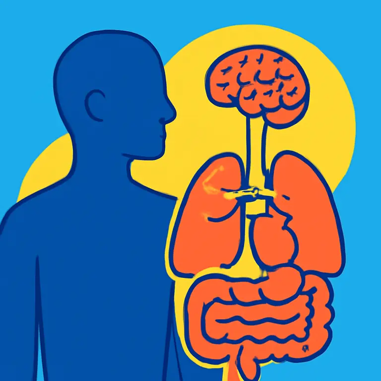Строение и функции организма - обложка пазла
