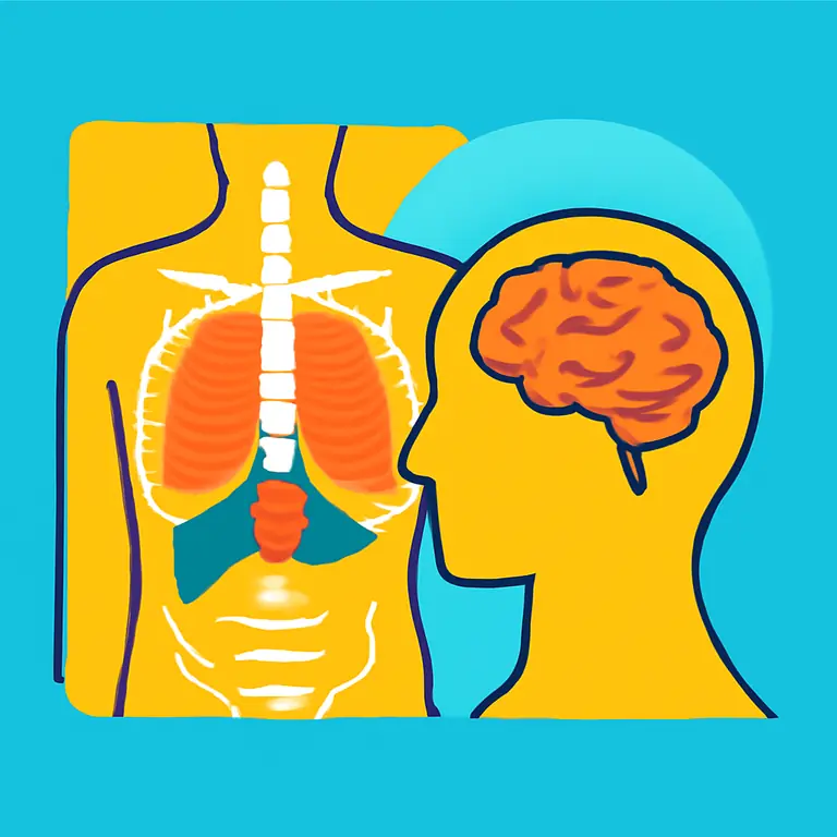 Анатомия и физиология человека - обложка пазла
