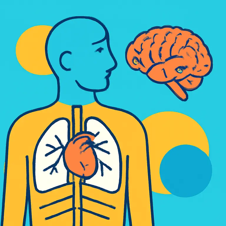 Анатомия и физиология организма - обложка пазла