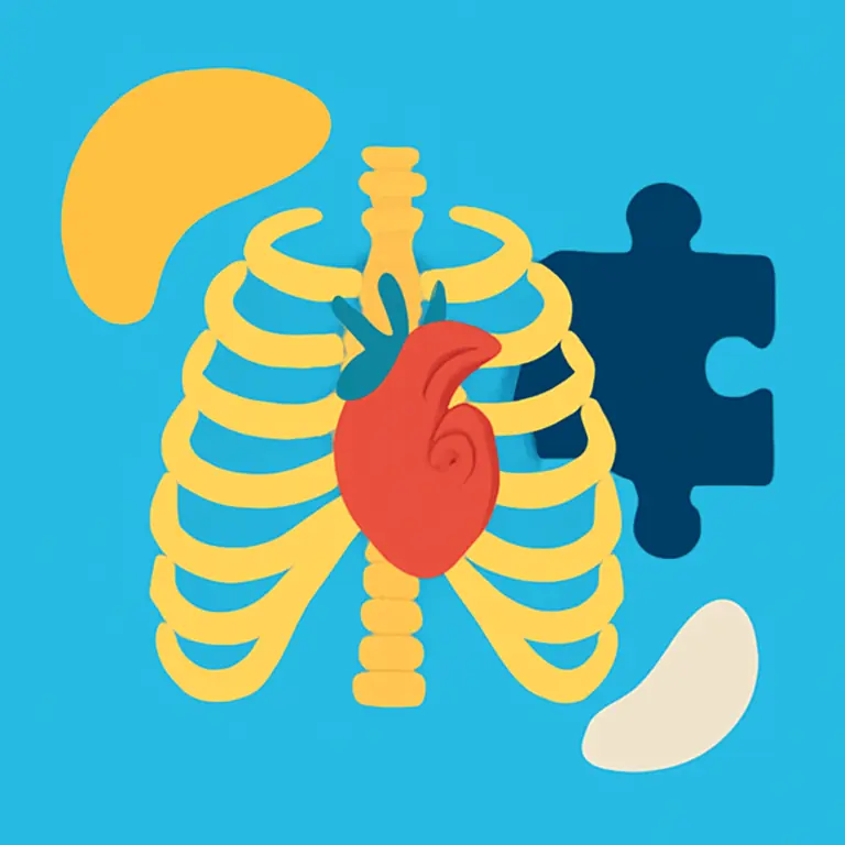 Anatomy Mix - puzzle cover