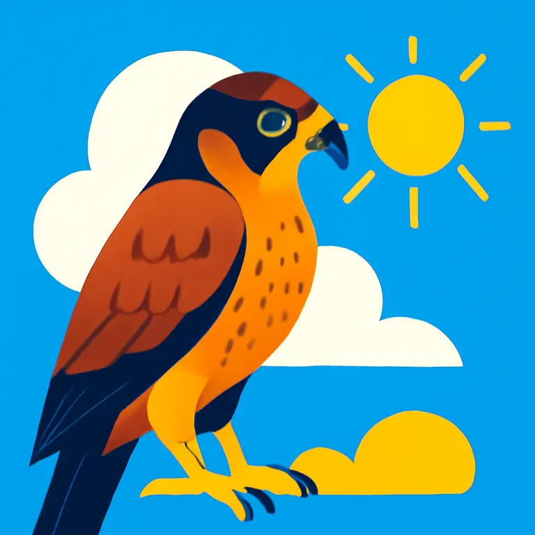 Чудеса Сокола - обложка пазла